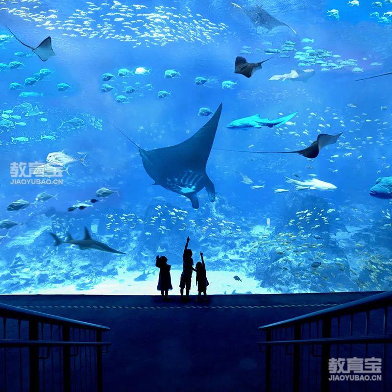 女性篮球运动员如何利用高科技优化训练_0